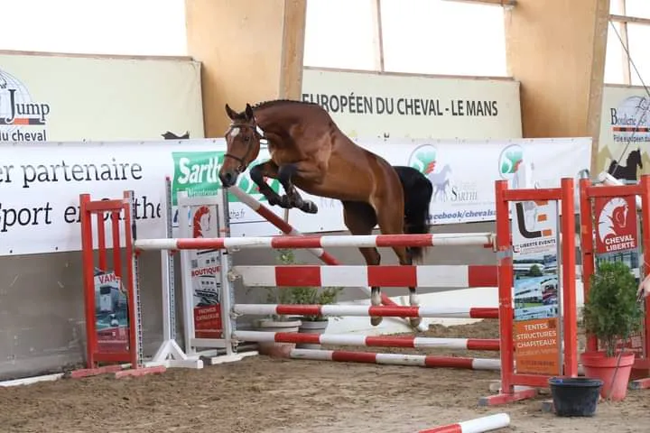 J't'adore Couparie