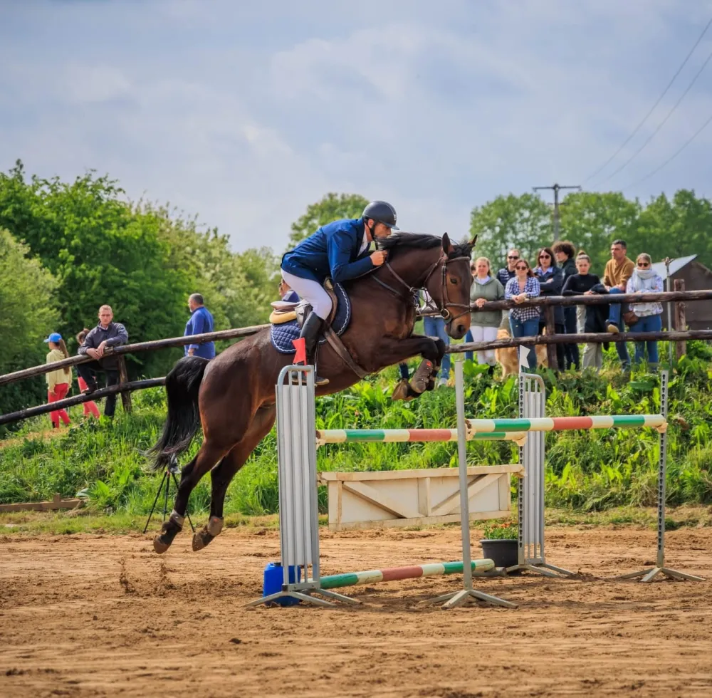 Concours équestre