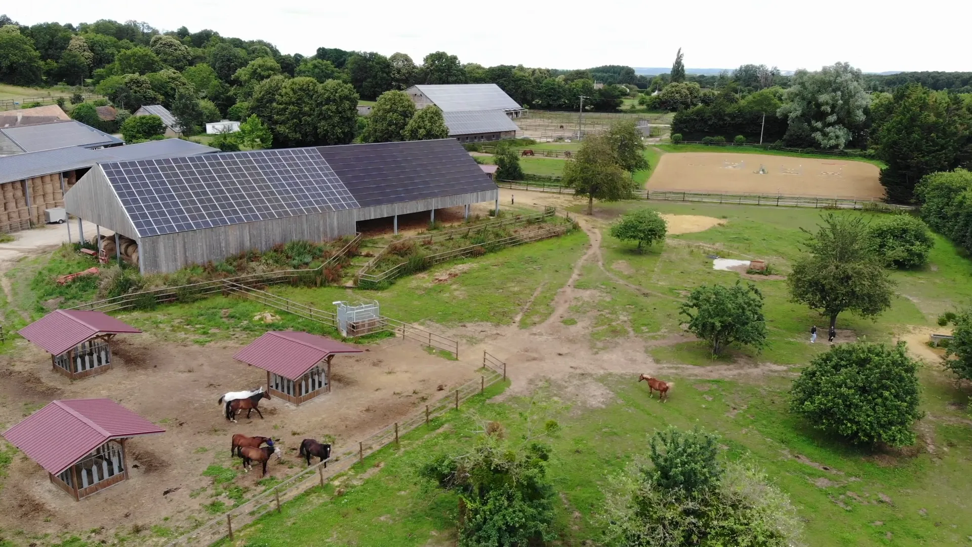 Pension en écurie active